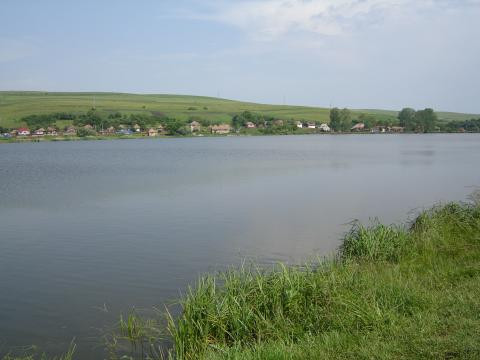 Toropiti de caldura, copiii se arunca in apa, chiar daca nu stiu sa inoate