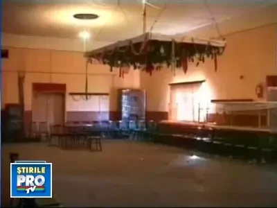 L-a injunghiat pentru un ciorchine de struguri!