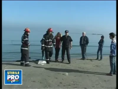 13sinucigasebeta141008