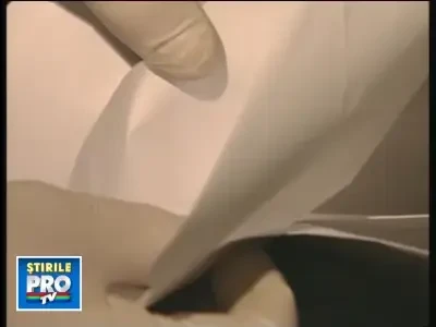 19impuscatbeta141008