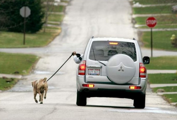 Uite cum isi plimba cainele un britanic lenes!