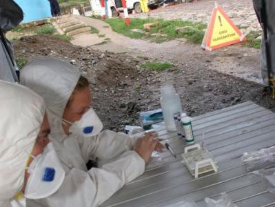 Carantina din cauza turbarii in Glodeanu Silistea