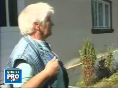 v_17_15_10_razbunare