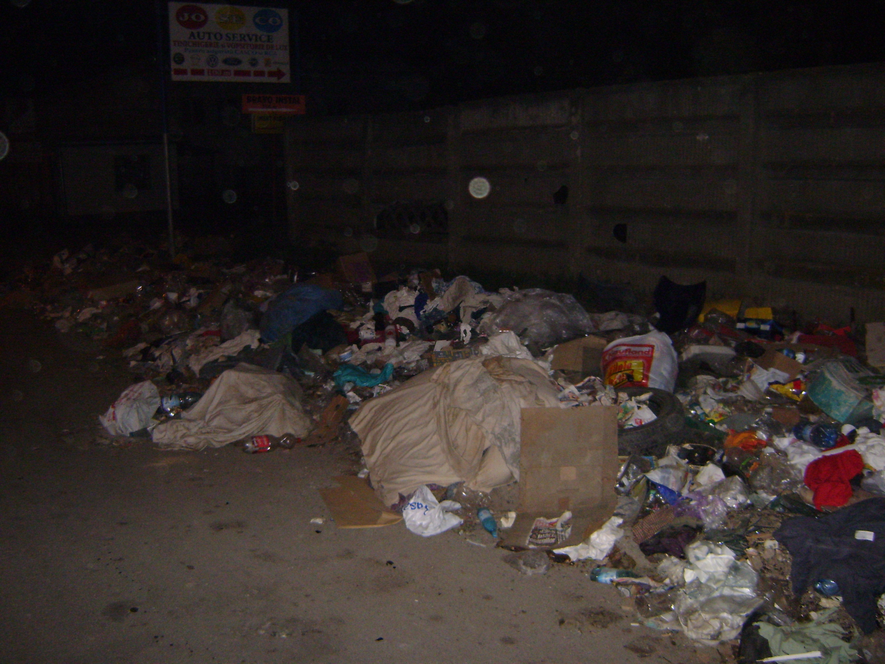 Gropi, caini si gunoaie europene in Capitala