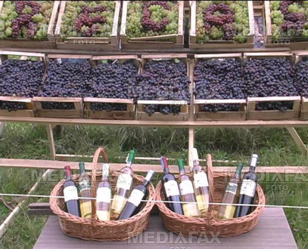 Sarbatoare pentru iubitorii lui Bachus!