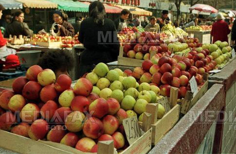 Proiecte marete pentru Piata 700 din Timisoara