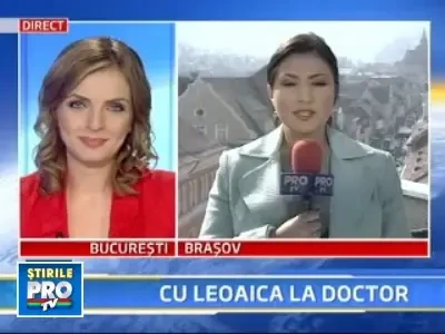 Bella, leoaica de la Zoo Buhusi, operata de glaucom