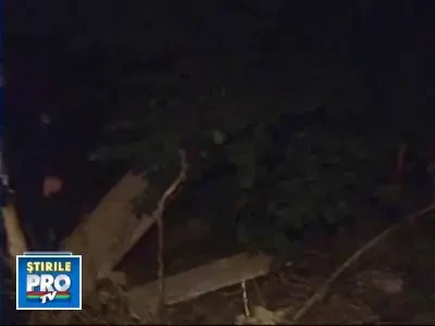 Tara contrastelor! Locuiau printre gunoaie, langa Palatul Cotroceni!