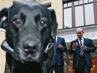 Putin si-a dotat cainele cu GPS!