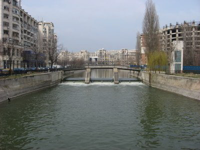 Si-a spalat masina fara sa vrea! A plonjat cu ea in Dambovita!