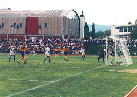 Suedia: Doi suporteri au fost raniti dupa ce a cedat balustrada tribunei