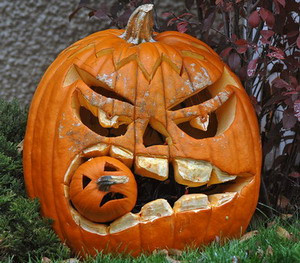 Cartofi si dovleci gigant la Festivalul Cartofului din Cluj!