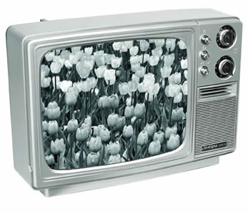 Spune-mi daca ai televizor color, ca sa iti spun cum visezi!