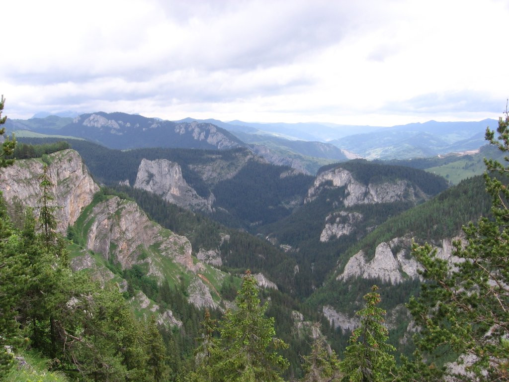 Trupul barbatului disparut de trei luni, gasit ieri. Cauzele mortii inca nu se cunosc