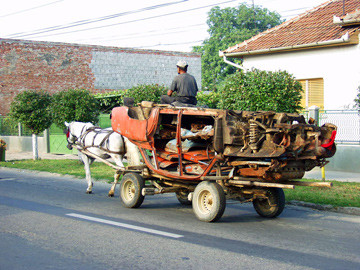 Sfarsit tragic pentru un carutas. Calul s-a speriat de claxoane