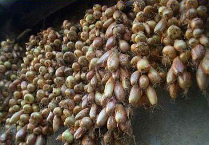 Sute de funii la Targul Cepei, care mai de care mai frumos impletite