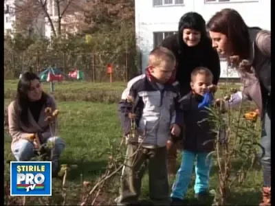 Copiii de gradinita din Cluj, invatati sa protejeze natura