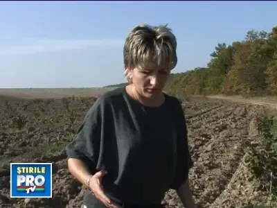 Taranii din Banat se gandesc sa schimbe graul si porumbul cu aluni