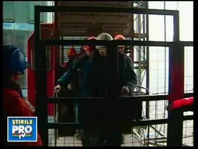 19zgarienoribeta241008