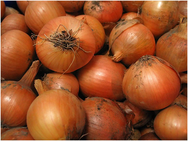 S-a ales cu dosar penal pentru ca transporta trei tone de ceapa, fara a avea acte