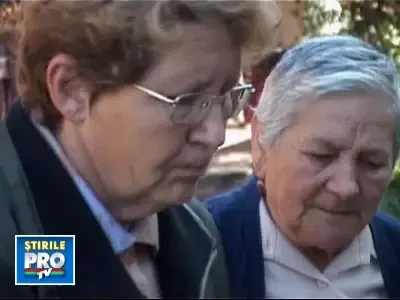 08planteecologicebeta251008