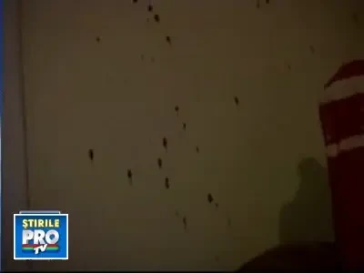 Si-a ucis propriul tata cu sase lovituri de cutit!