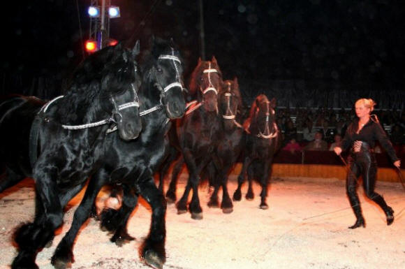 Germania: 16 raniti, in urma prabusirii tribunei unui circ
