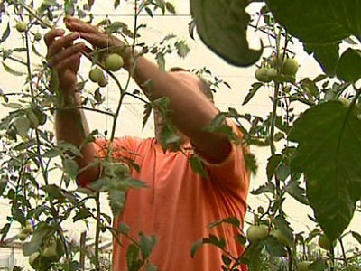 Belgienii cauta muncitori romani pentru joburi refuzate de ai lor