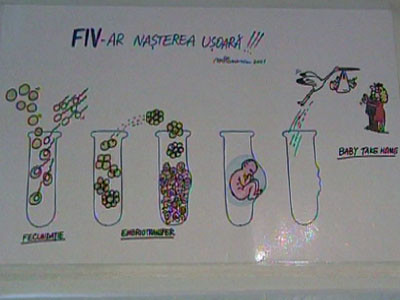 Romania, te iubesc: o viata ca o durere continua
