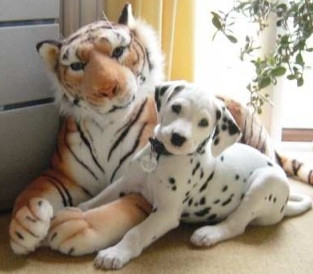 Iubirea pluteste in aer la un circ din Berlin!