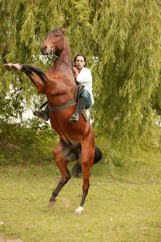 Denis Stefan face acrobatii pe cal