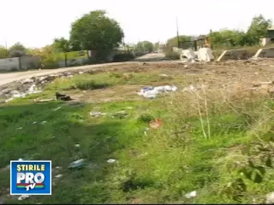 Gropi, caini si gunoaie europene in Capitala