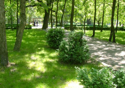 Edilii buzoieni au verificat lucrarile de reamenajare a parcurilor