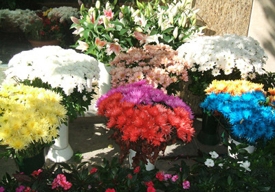 Circ cu iz de ilegalitate. Florarese in vizorul Garzii Financiare