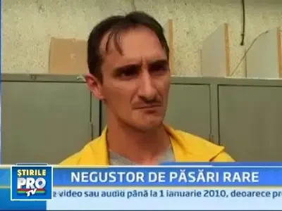 Oferte iesite din comun: avem soimi de vanzare!