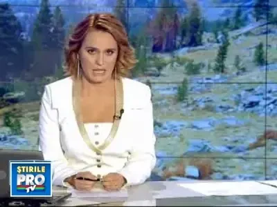 Ramasitele unui miliardar aventurier, gasite dupa mai bine de un an