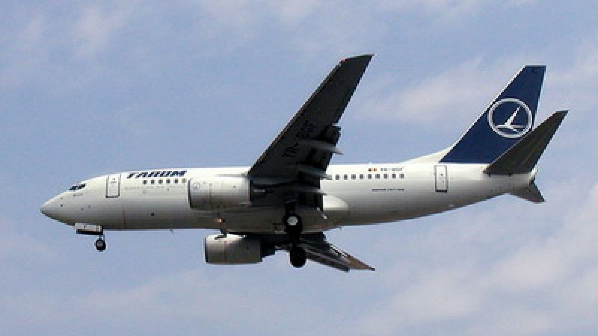 Roma: La un pas de o tragedie aviatica din cauza unor pasari