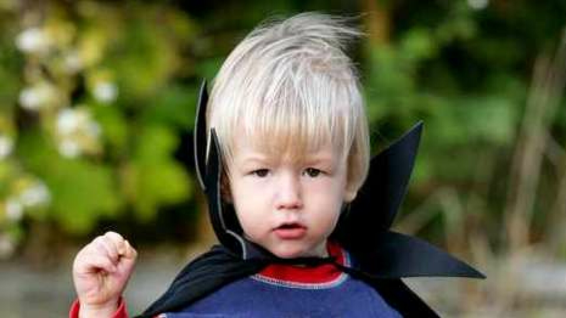 Dracula are descendenti in Germania!