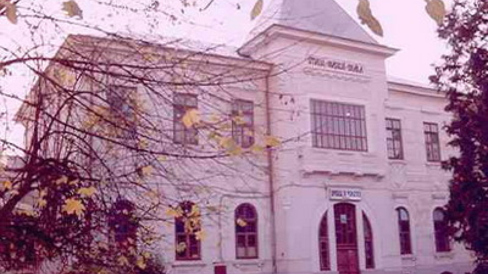 Bolnavii psihic, liberi pe strada! Nu mai sunt locuri in spitale