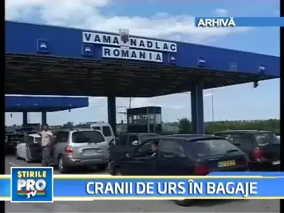 Prins la iesirea din tara cu cranii de urs in bagaj!
