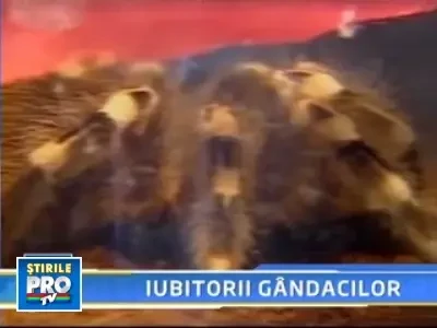 Conventie cu sute de antene si mii de tentacule in Statele Unite!