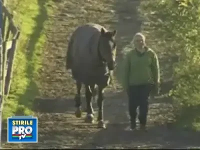 Marea Britanie: criza financiara arunca animalele de casa in strada