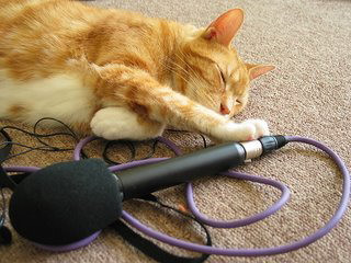 Ai un animalut super? Ia-i CA-DO de la Radio InfoPro!