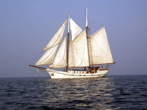 Socant! S-au infruptat din cadavrul unui barbat pentru a supravietui