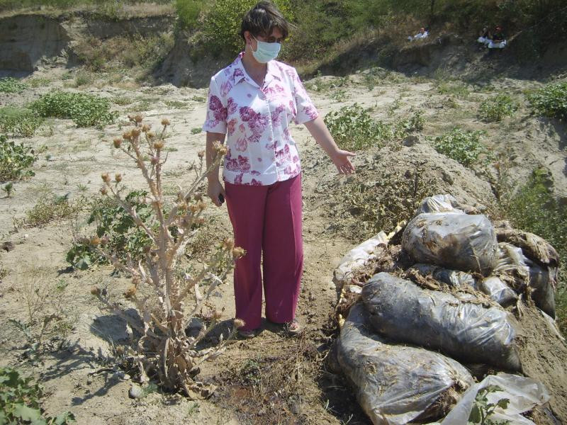 Joaca de-a soarecele si pisica in cazul Protan Bucuresti