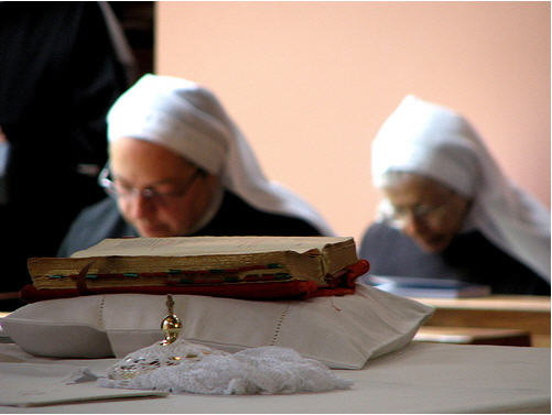 Zece maicute de la Cartisoara au fost vaccinate impotriva turbarii