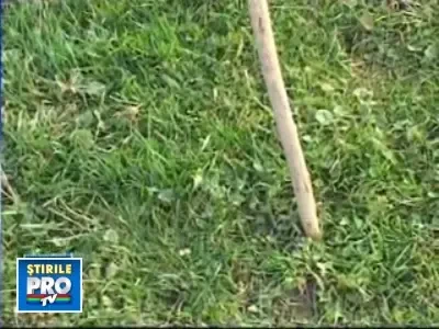 Transhumanta in vreme de criza: ciobanii pleaca in Vest. Fara mioare!