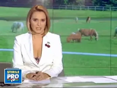 Faceti cunostinta cu Piti, un ponei fioros!