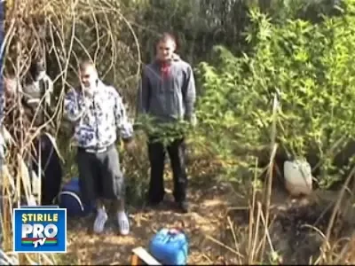 Copiem modelele occidentale, ramanem doar cu naravurile!