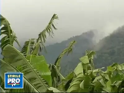 Fructe ca prospat culese din pom, acum in hipermarketuri